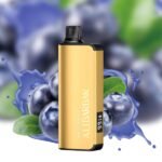 GEEK BAR VAPE