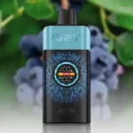 IGET One 12000 Puffs-Blue Monster