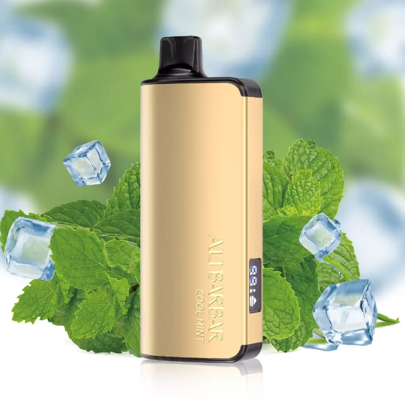 Wholesale Alibarbar Ingot 9000 Puffs Cool mint